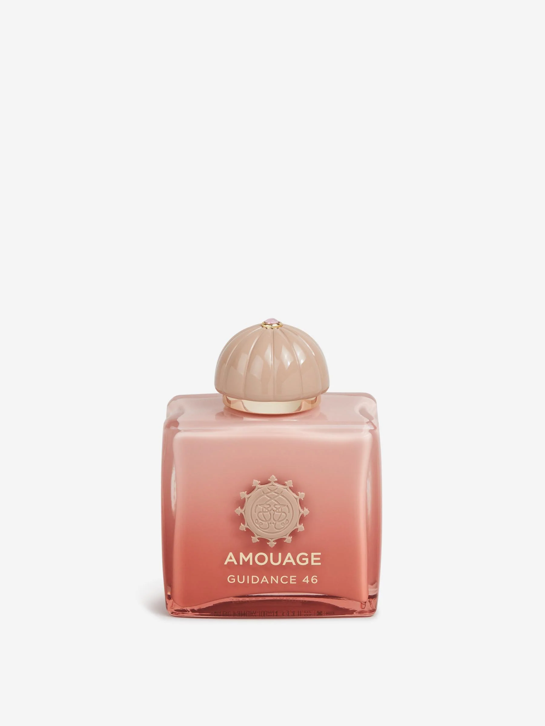 Perfume Guidance 46