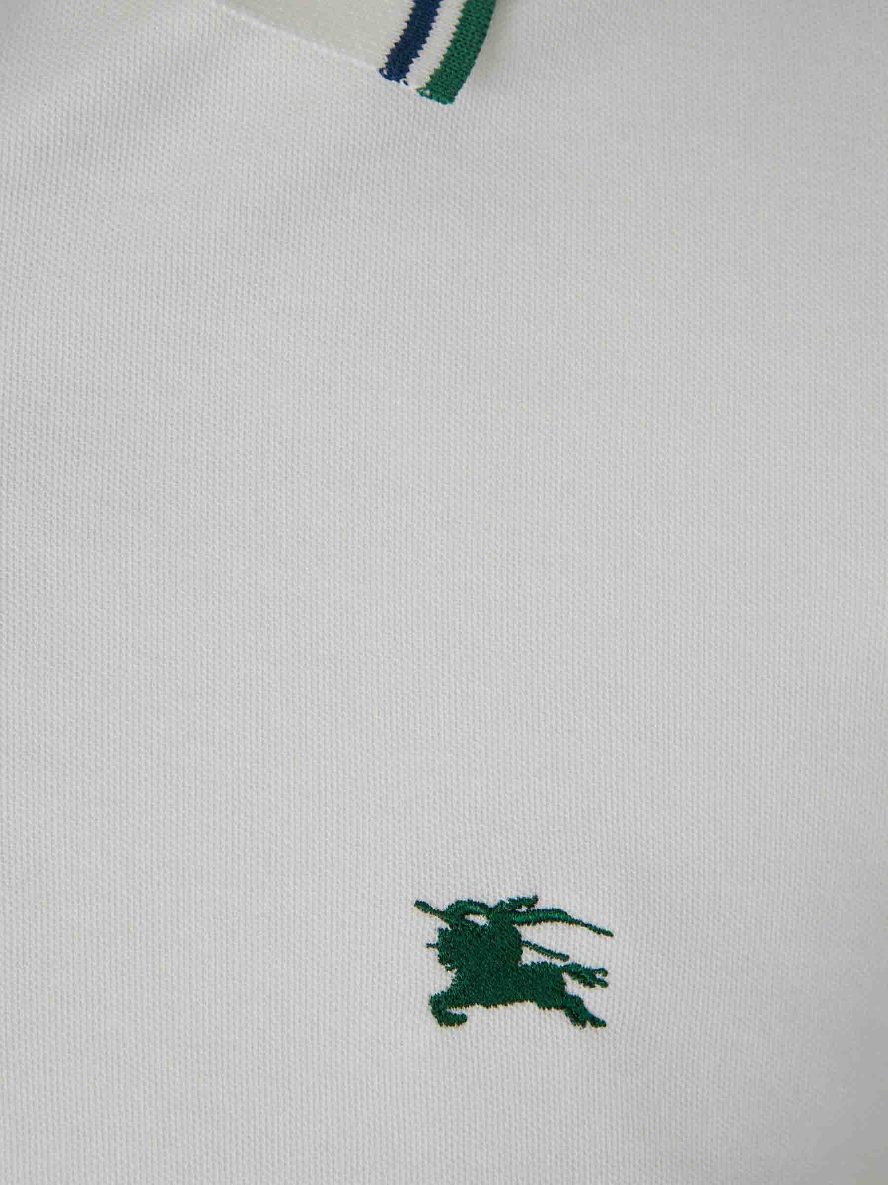 Polo Logo - Image 4