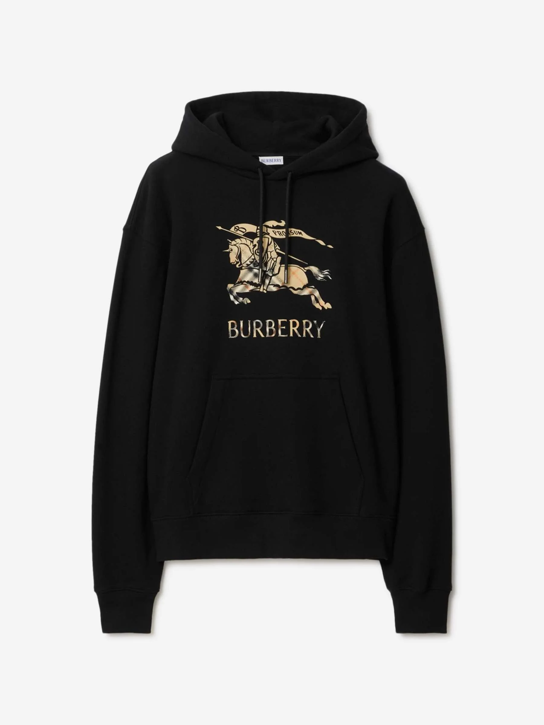 Sudadera Capucha Logo