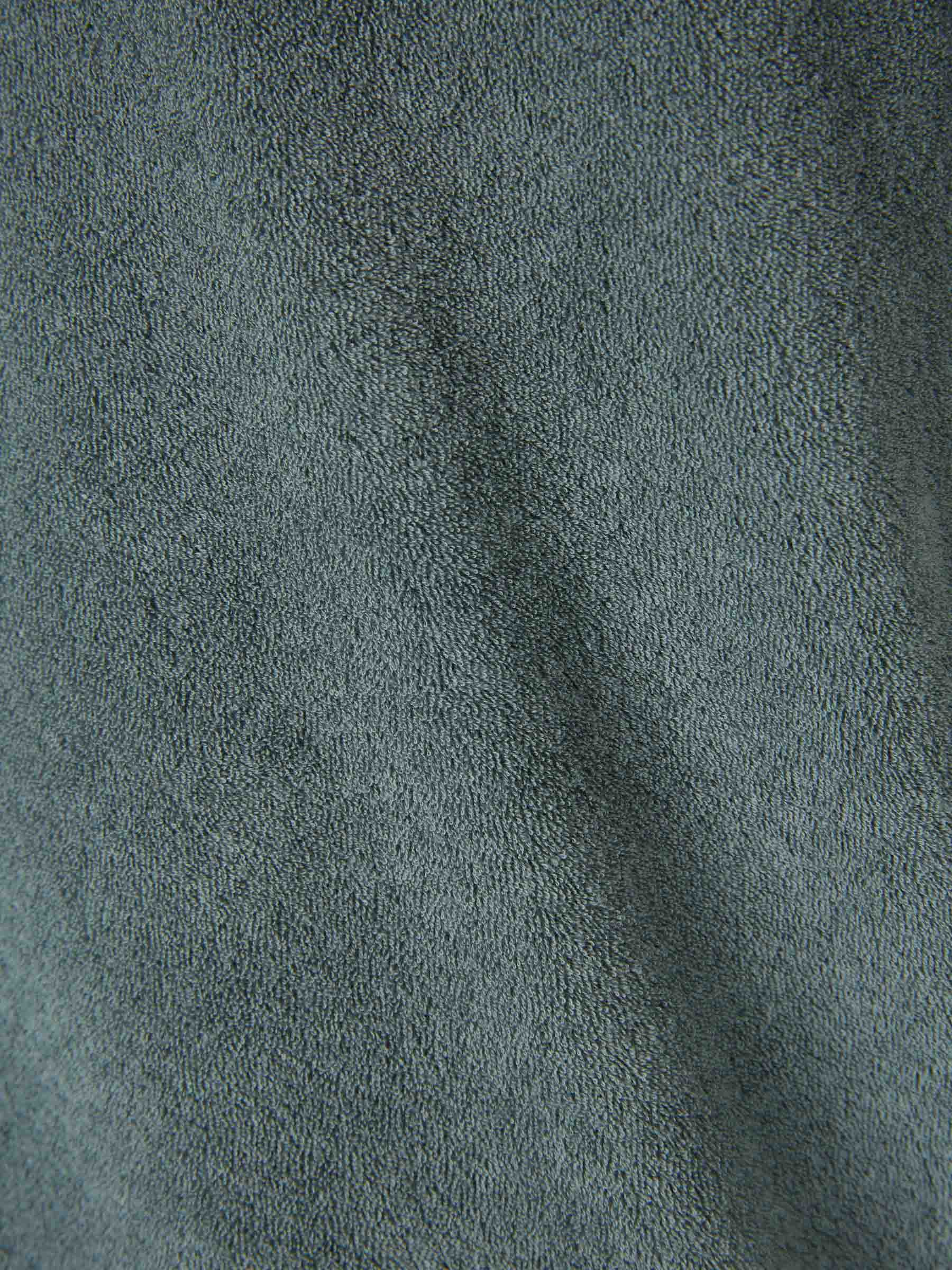 Polo Peter Terry - Image 4