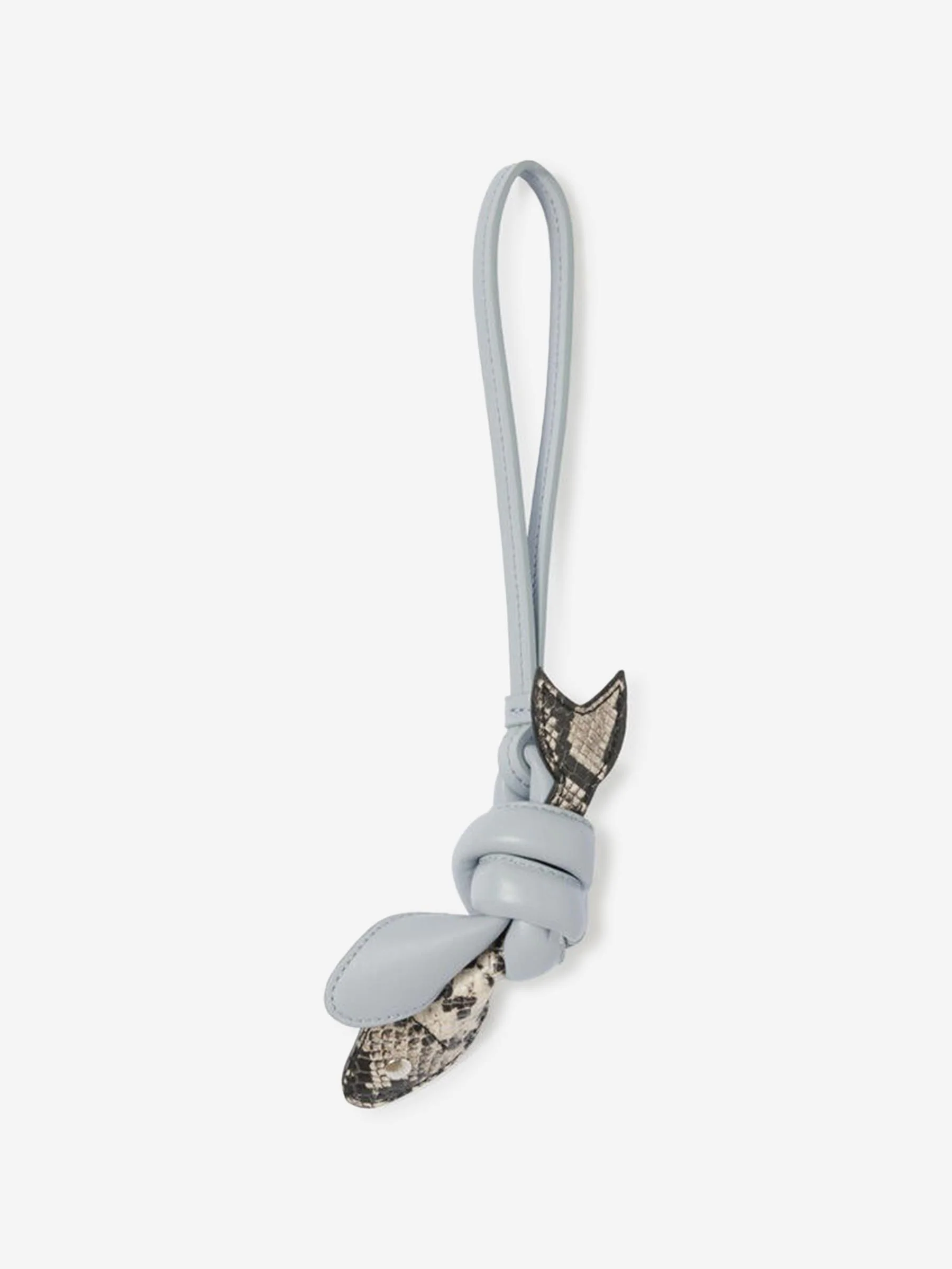 Charm Le Poisson