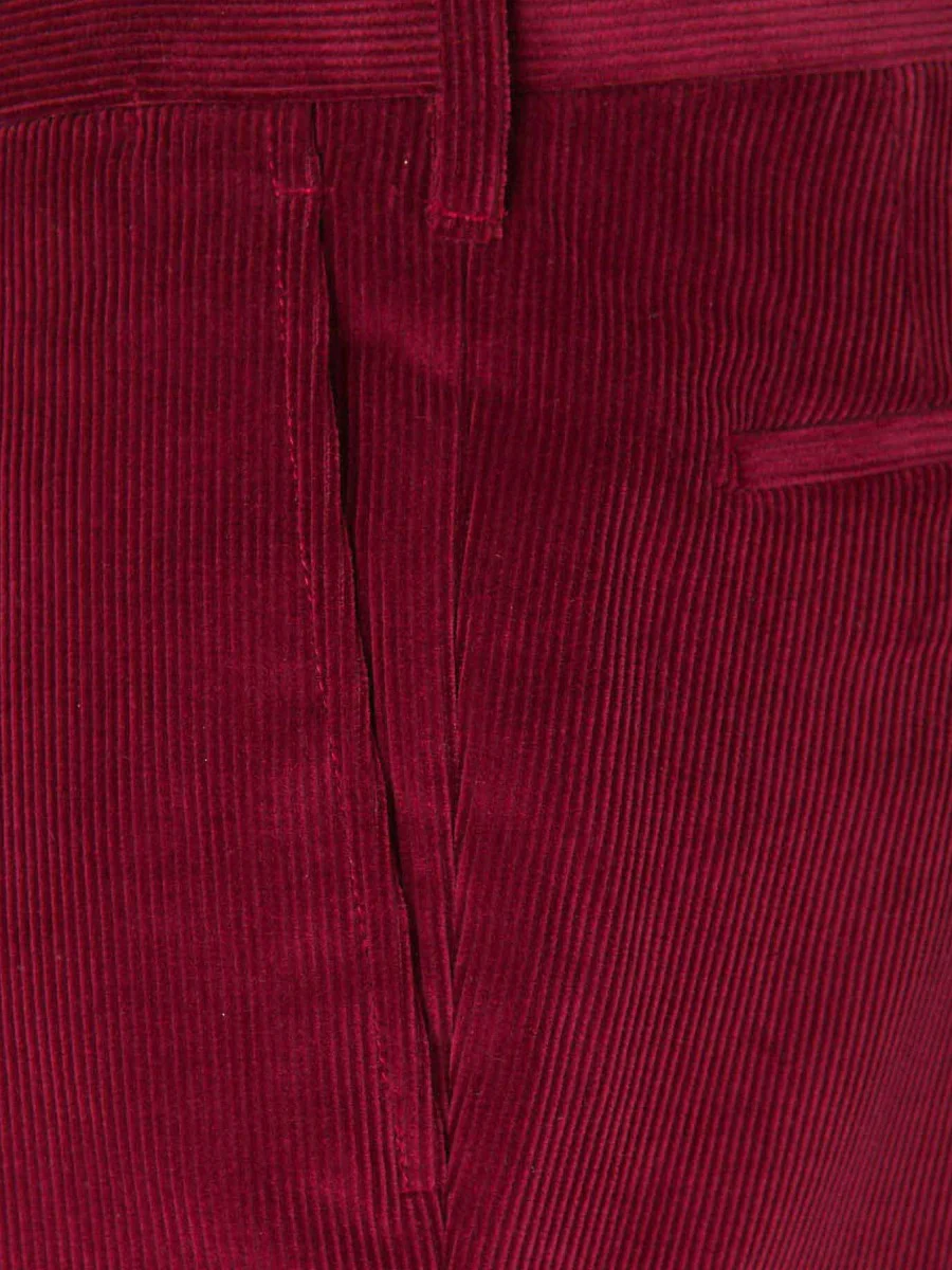 Pantalones Chinos Pinzas - Image 3