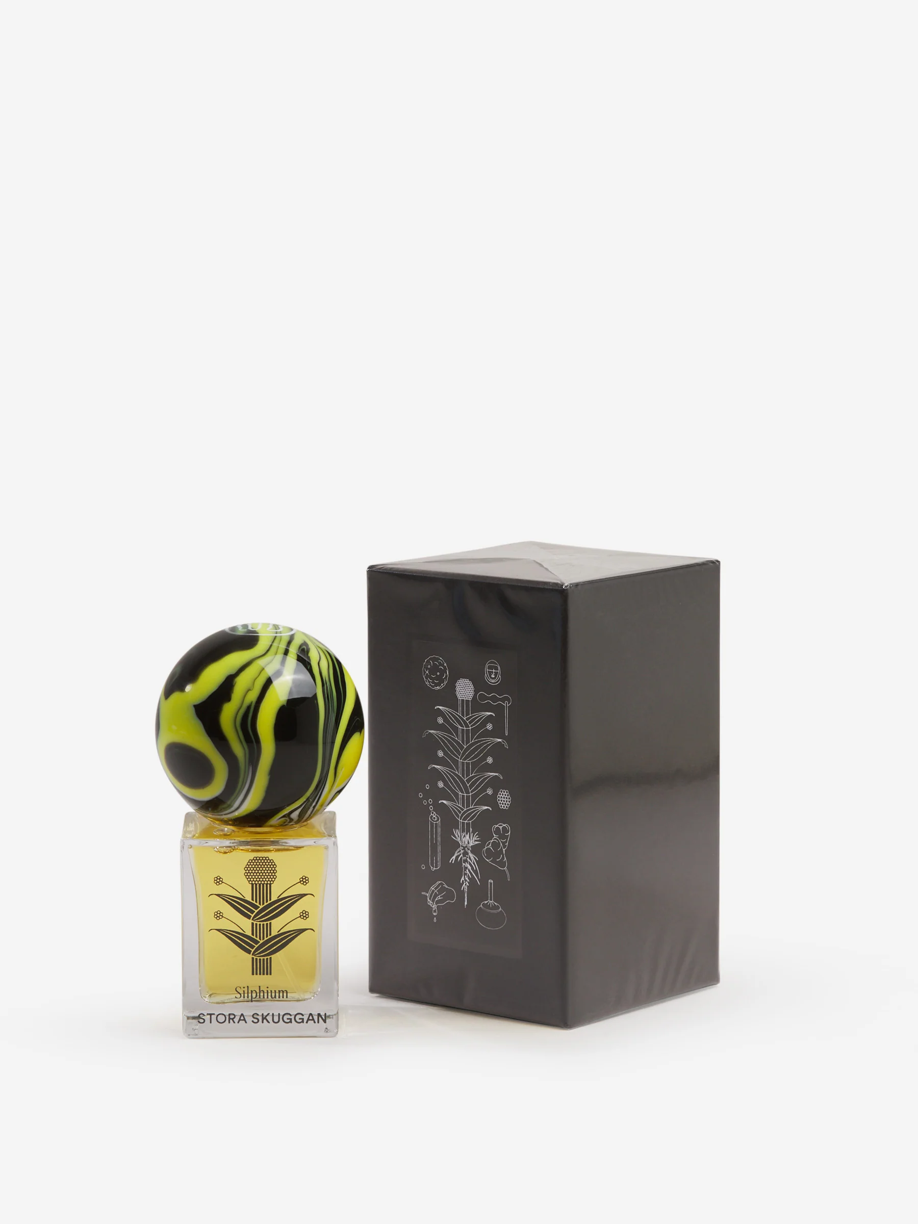 Perfume Silphium - Image 2
