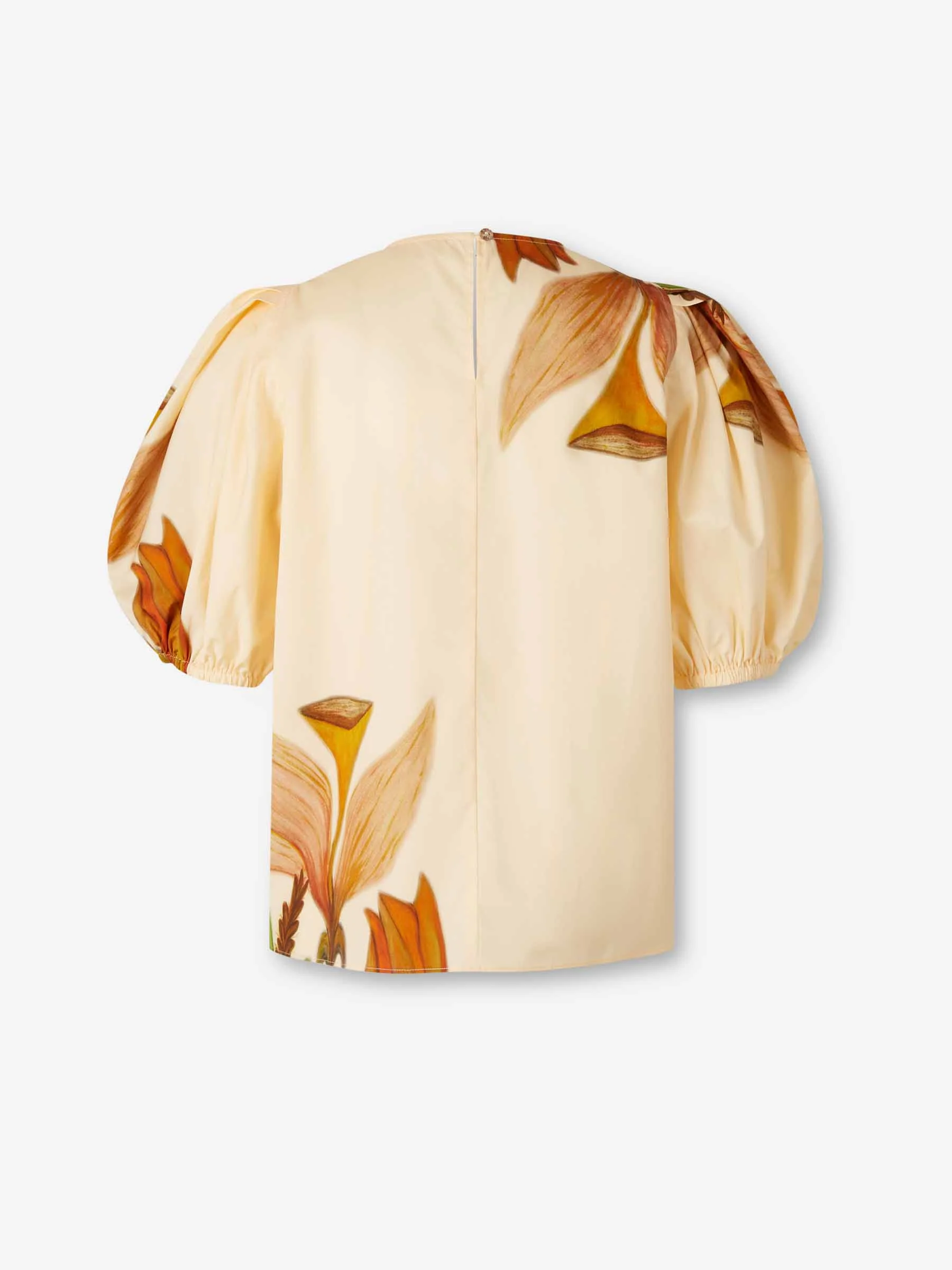 Top Ravena - Image 2