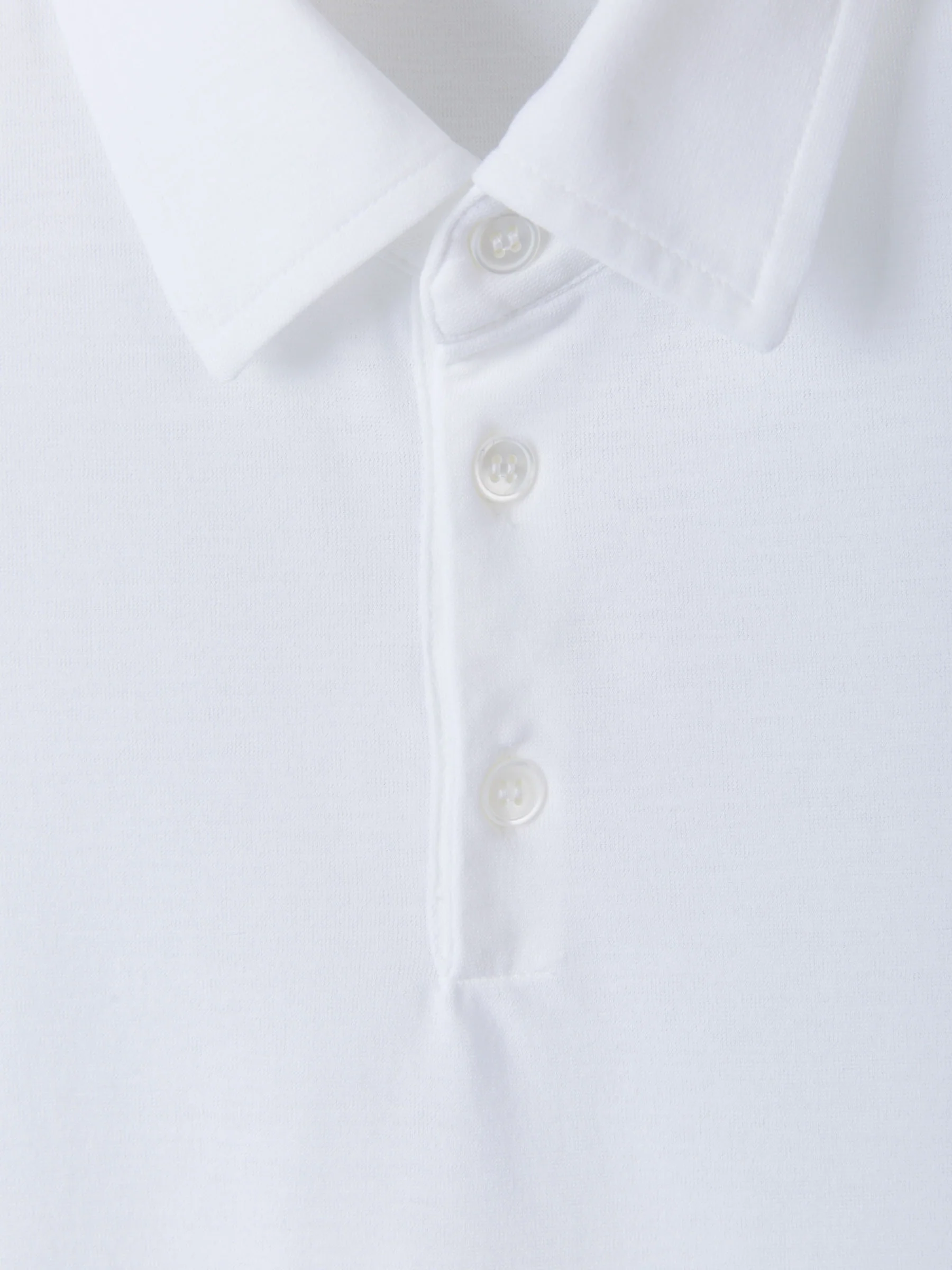 Polo Liso Algodón - Image 3